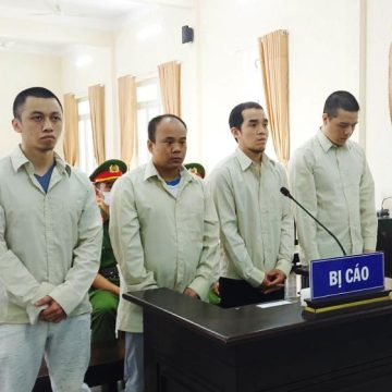 bao-ve-ru-ban-tu-gay-ra-9-vu-trom